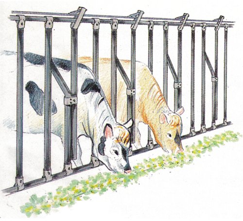 90_Rohrschellen_Verwendung_1